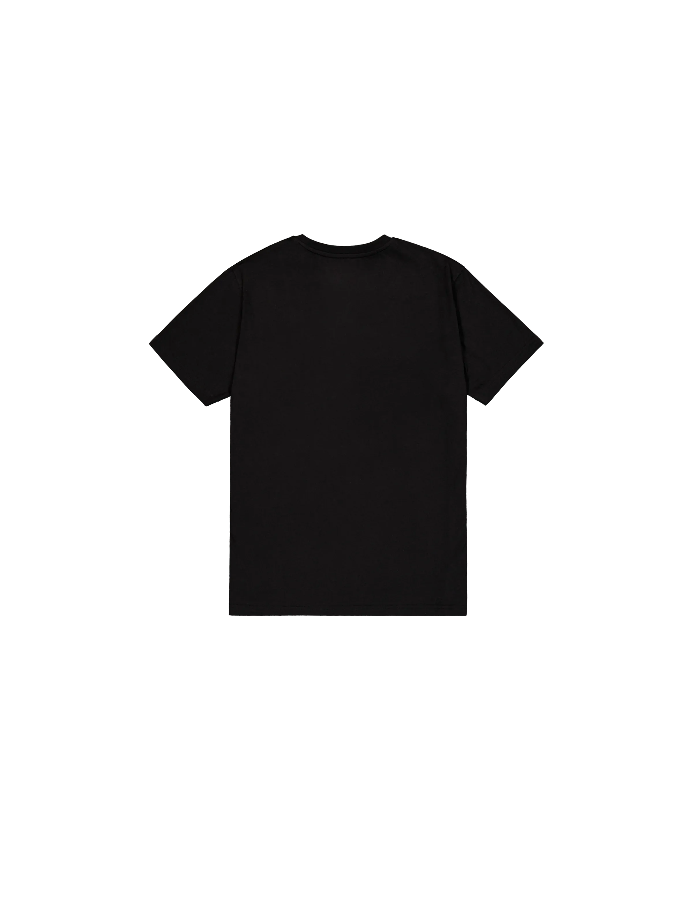 Basic Big Logo Effect Print T-Shirt 100501EP