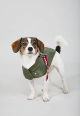 Dog MA-1 Nylon Flight Jacket Alpha Industries S/M Kurtka dla Pieska 163901